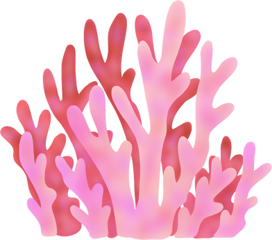 Coral Reef